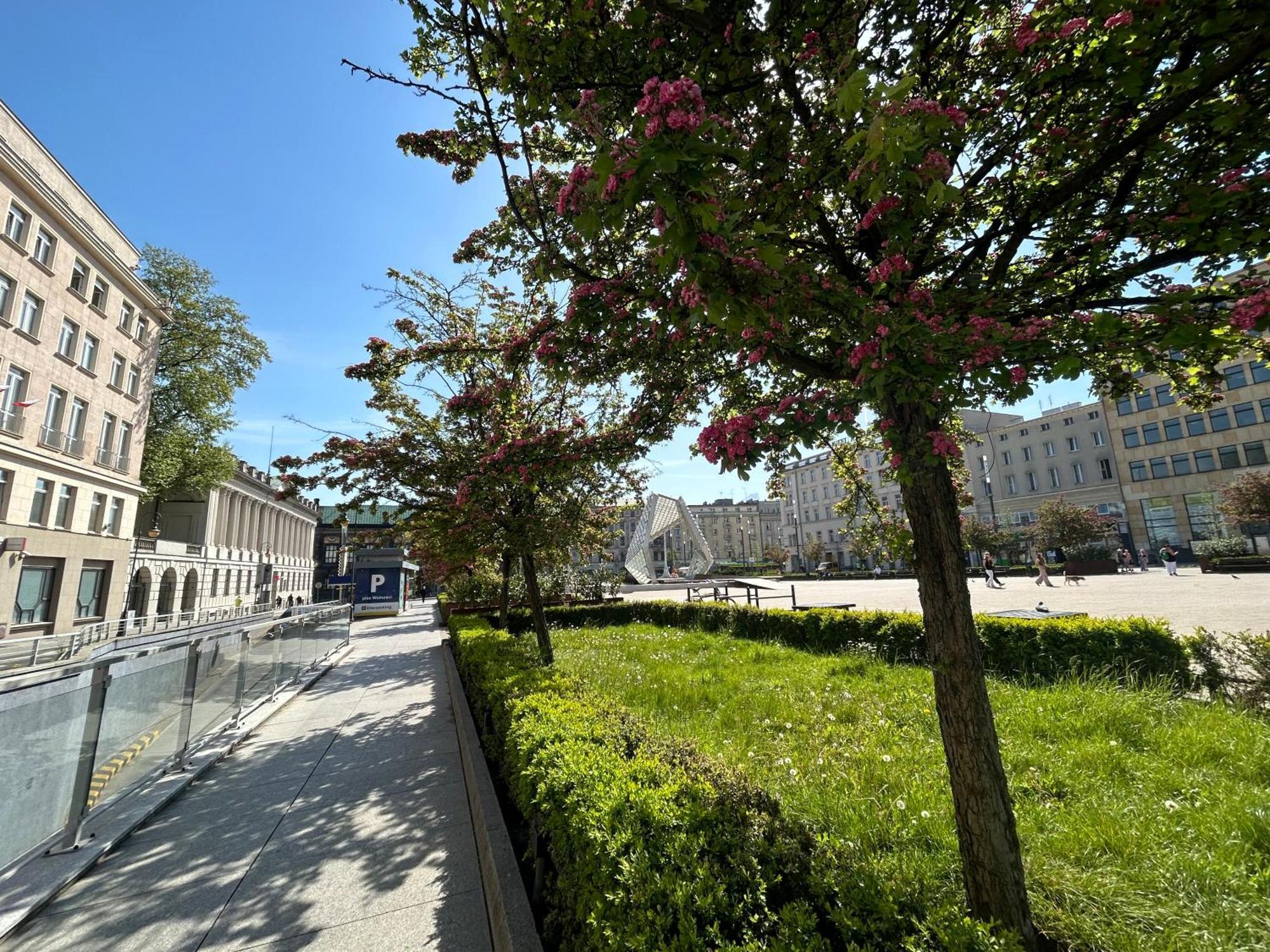 Apartamenty Pl. Wolnosci 6 Poznan Bagian luar foto